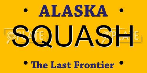 SQUASH Alaska License Plate