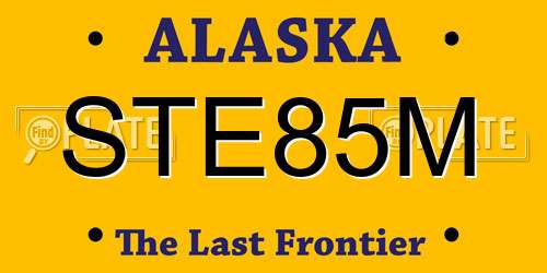 STE85M Alaska License Plate