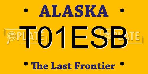 T01ESB Alaska License Plate