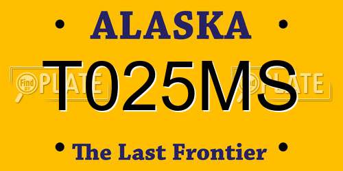 T025MS Alaska License Plate