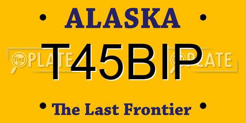 T45BIP Alaska License Plate