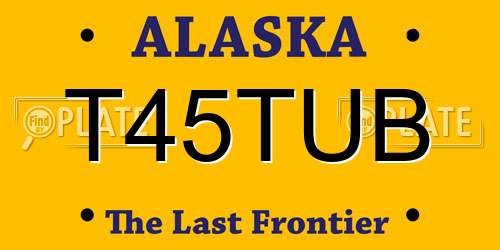 T45TUB Alaska License Plate