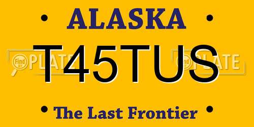 T45TUS Alaska License Plate
