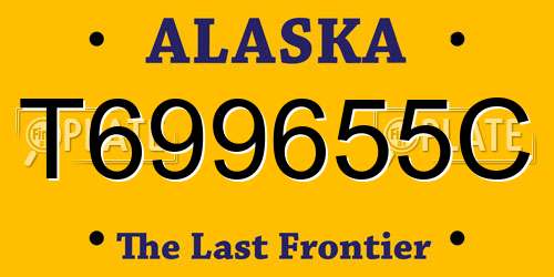 T699655C Alaska License Plate