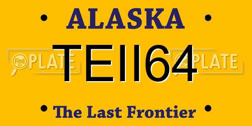 TEII64 Alaska License Plate