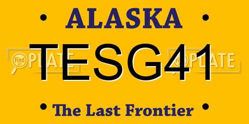 TESG41 Alaska License Plate