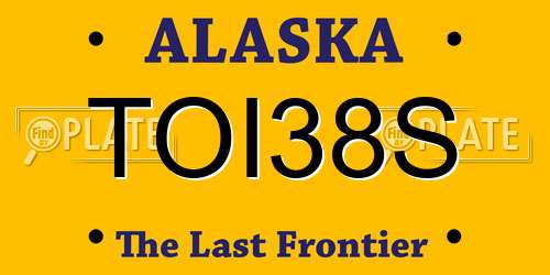 TOI38S Alaska License Plate