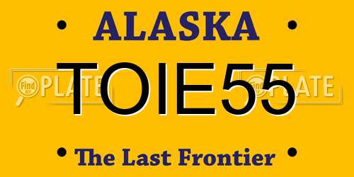 TOIE55 Alaska License Plate