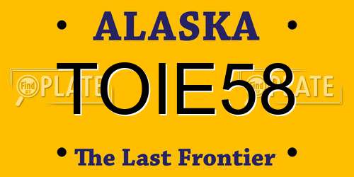 TOIE58 Alaska License Plate