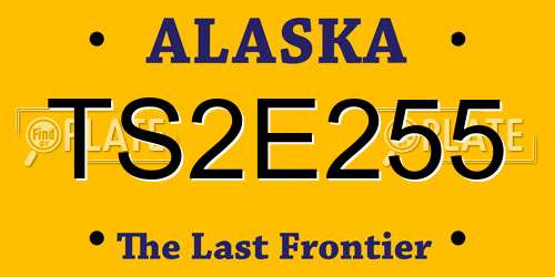 TS2E255 Alaska License Plate