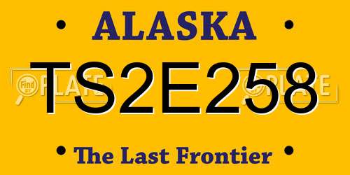 TS2E258 Alaska License Plate