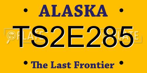 TS2E285 Alaska License Plate