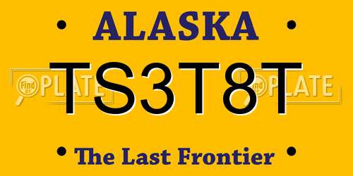 TS3T8T Alaska License Plate