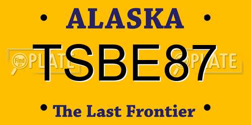 TSBE87 Alaska License Plate