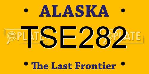 TSE282 Alaska License Plate