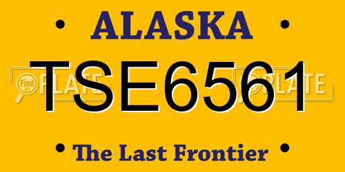 TSE6561 Alaska License Plate