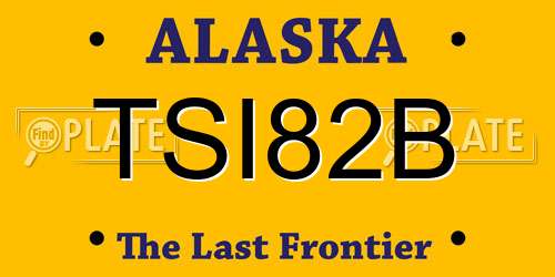 TSI82B Alaska License Plate