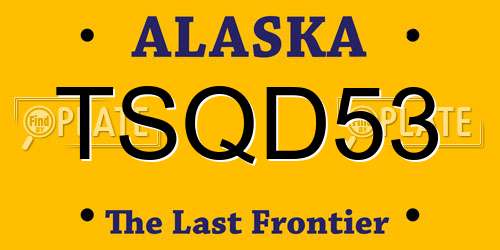 TSQD53 Alaska License Plate