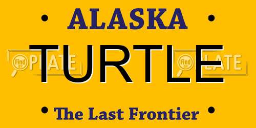 TURTLE Alaska License Plate