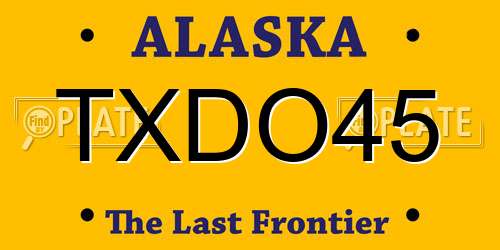TXDO45 Alaska License Plate