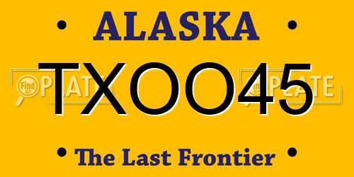 TXOO45 Alaska License Plate