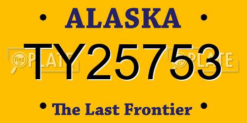 TY25753 Alaska License Plate