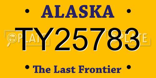TY25783 Alaska License Plate