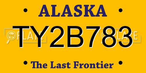 TY2B783 Alaska License Plate