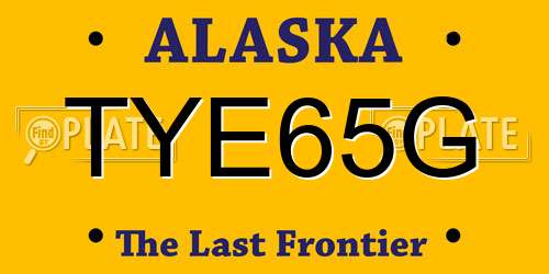 TYE65G Alaska License Plate