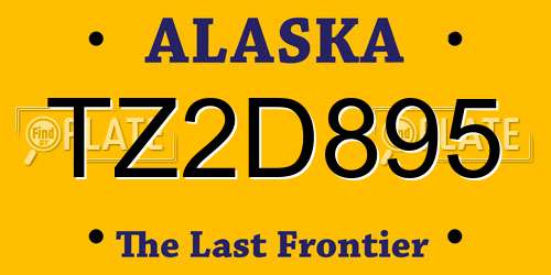 TZ2D895 Alaska License Plate