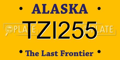 TZI255 Alaska License Plate