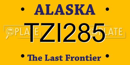 TZI285 Alaska License Plate