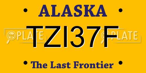 TZI37F Alaska License Plate