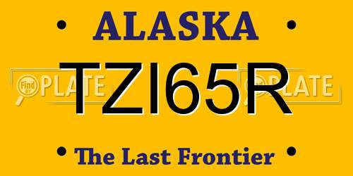 TZI65R Alaska License Plate