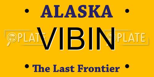 VIBIN Alaska License Plate