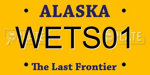 WETS01 Alaska License Plate