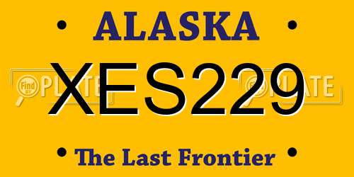 XES229 Alaska License Plate