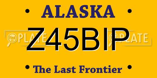 Z45BIP Alaska License Plate
