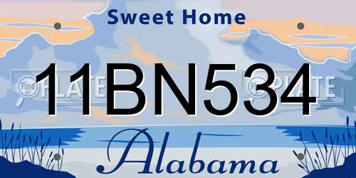 11BN534 Alabama License Plate