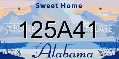 125A41 Alabama License Plate