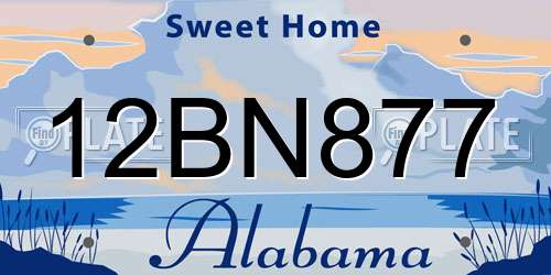 12BN877 Alabama License Plate