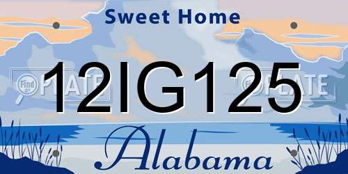 12IG125 Alabama License Plate