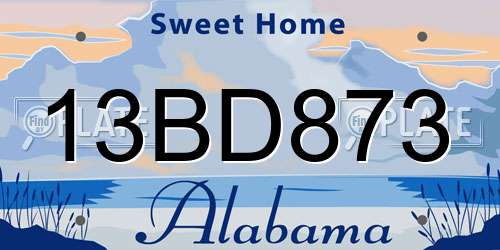 13BD873 Alabama License Plate
