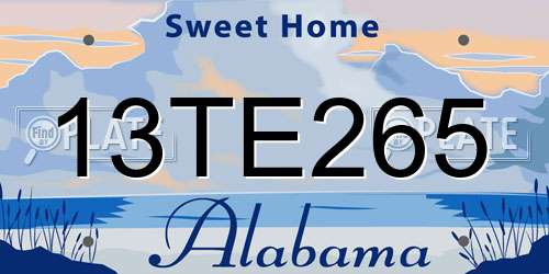13TE265 Alabama License Plate