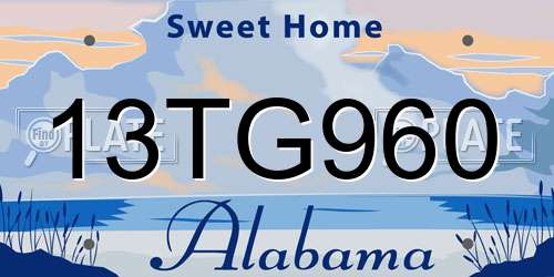 13TG960 Alabama License Plate