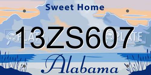 13ZS607 Alabama License Plate
