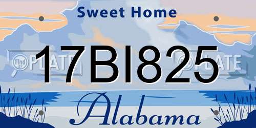 17BI825 Alabama License Plate