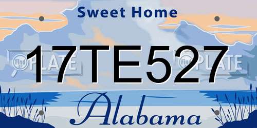 17TE527 Alabama License Plate