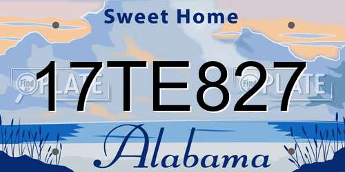 17TE827 Alabama License Plate