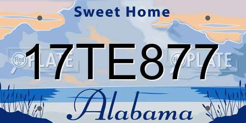17TE877 Alabama License Plate